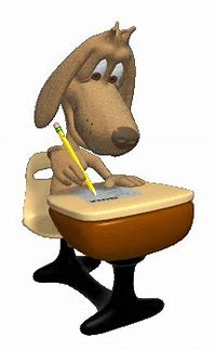 Dog at desk 
